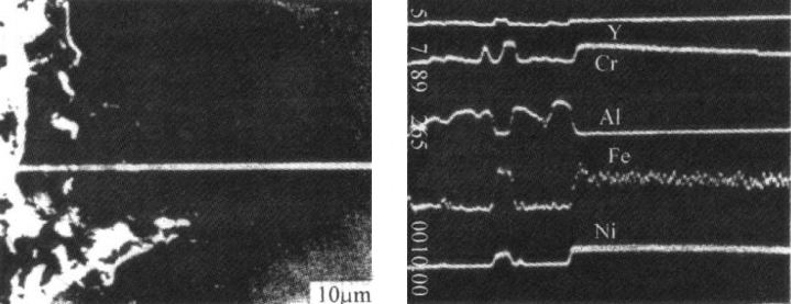 1300℃/500h下Alloy 214氧化層的SEM和EPMA分析 1300℃/500h下Alloy 214氧化層的SEM和EPMA分析
