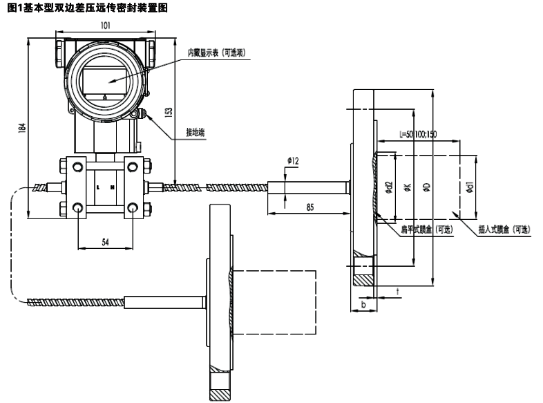 雙法蘭差壓變送器結構示意圖 雙法蘭差壓變送器結構示意圖