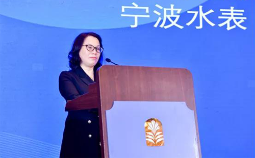 中國儀器儀表行業協會副理事長、寧波水表(集團)股份有限公司董事長 張琳 中國儀器儀表行業協會副理事長、寧波水表(集團)股份有限公司董事長 張琳